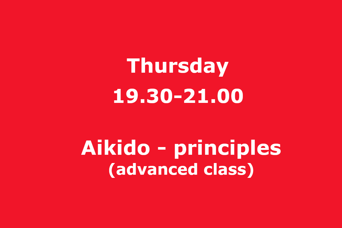 Sessa Takuma aikido Brussels